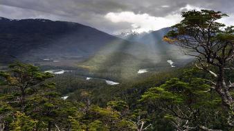 Trees forests gray valleys rivers patagonia sunbeams wallpaper