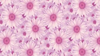 Backgrounds daisy flowers patterns pink wallpaper