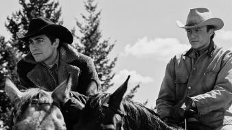 Brokeback mountain heath ledger jake gyllenhaal cowboys grayscale wallpaper