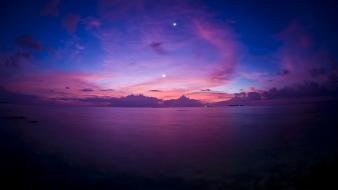 Purple nature wallpaper