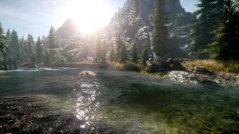 V: skyrim grass nature trees video games wallpaper
