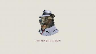 Animals bears funny quotes wallpaper