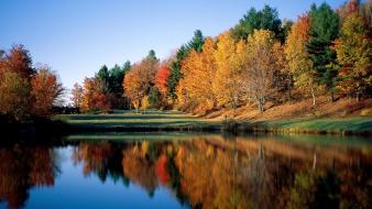 Autumn spring nature wallpaper