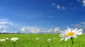 Beautiful nature view wallpaper