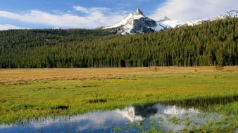 California national park usa yosemite forests wallpaper