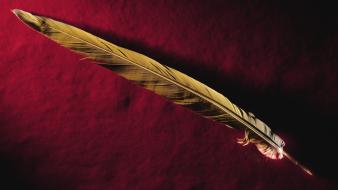 Feathers gold minimalistic red wallpaper