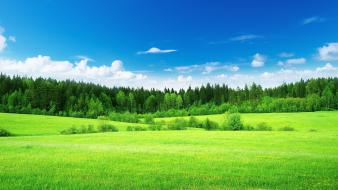 Green nature landscape wallpaper
