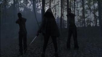 Michonne the walking dead wallpaper