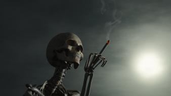 Photograph skeletons wallpaper
