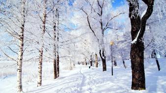 Snow road wallpaper