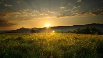 Sun fields landscapes nature wallpaper