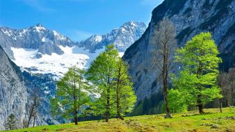 Blue green mountains trees white wallpaper