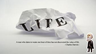 Cute life quotes wallpaper