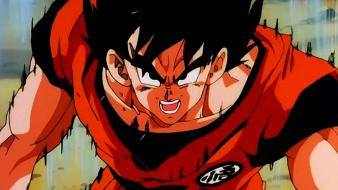 Dragon ball z son goku wallpaper