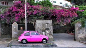 Fiat 500 italia italy flowers pink wallpaper