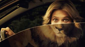 Funny lion wallpaper
