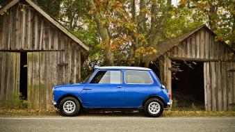 Haylie jeter mk1 mini austin autumn wallpaper