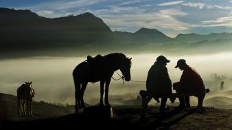 Hdr photography national geographic animals birds landscapes wallpaper