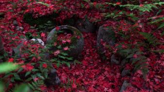 Japan kyoto nature stones wallpaper