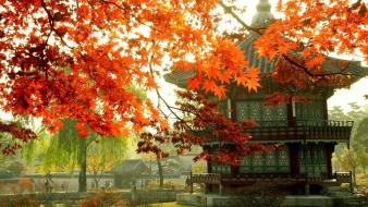 Japan seoul south korea destination wallpaper