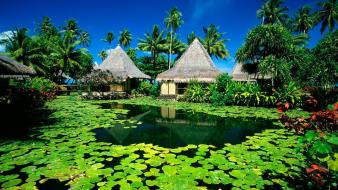 Natural village wallpaper