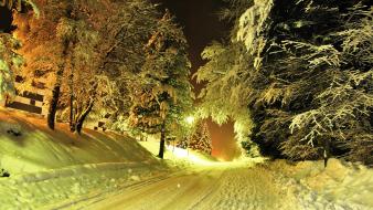 Nature photograph wallpaper