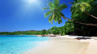Sunny beach wallpaper