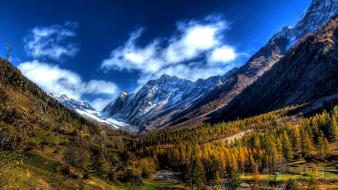 Switzerland clouds forests grass landscapes wallpaper