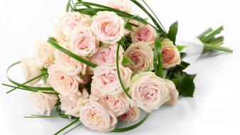 286 flowers wallpaper