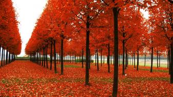 Autumn hd wallpaper