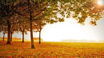 Beautiful fall scenery wallpaper