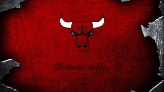 Chicago bulls wallpaper