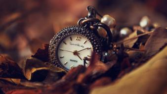 Clocks depth of field fallen leaves wallpaper