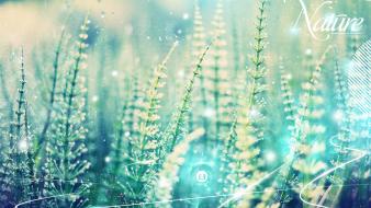 Cool nature designs wallpaper