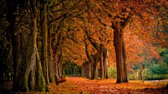 Fall nature photos wallpaper
