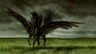Fantastic mitology creatures digital art fantasy wallpaper