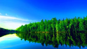 Fresh nature background