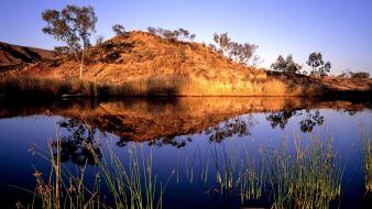 Landscapes nature reflections trees wallpaper