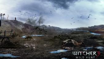 The witcher 3: wild hunt wallpaper