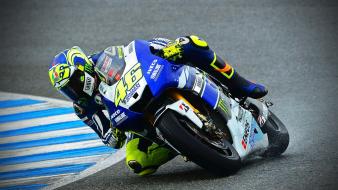 Valentino rossi motogp 2013 wallpaper