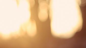 Abstract blurred bokeh minimalistic sunlight wallpaper
