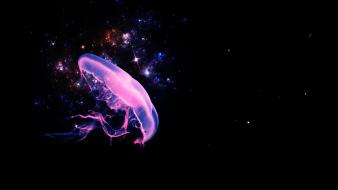 Abstract jellyfish wallpaper