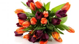 Beautiful flowers bouquet wallpaper
