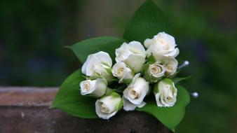 Bouquet flowers roses white wallpaper