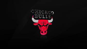 Chicago bulls logo wallpaper