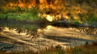 Earth grass nature reflections water wallpaper