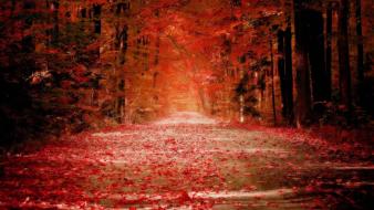 Fall backgrounds wallpaper