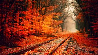Fall hd wallpaper