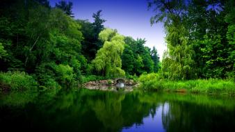 Green forest river wallpaper