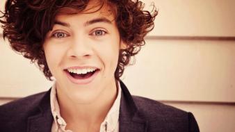 Harry styles 20131 wallpaper